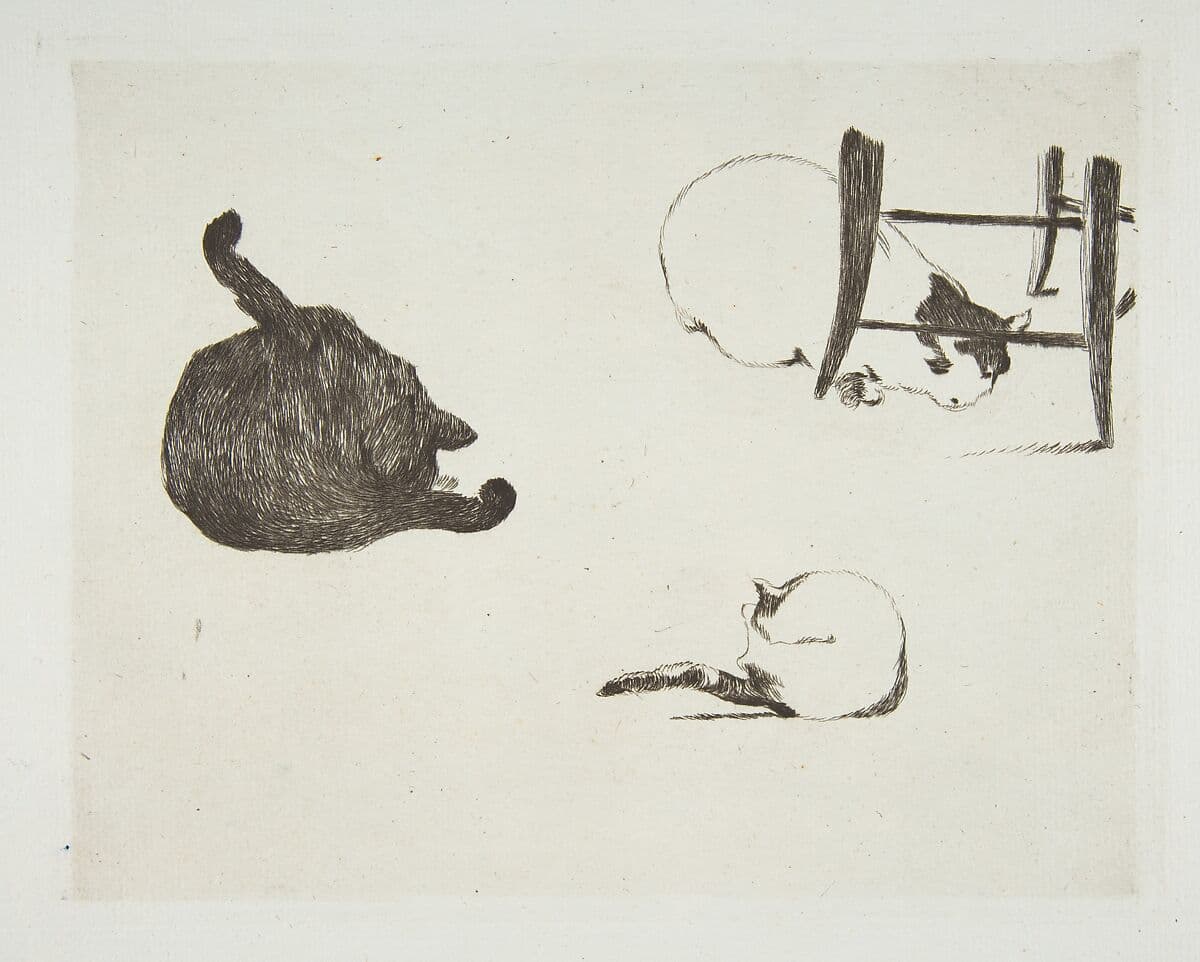 Three cats sketched in different poses in an antique etching